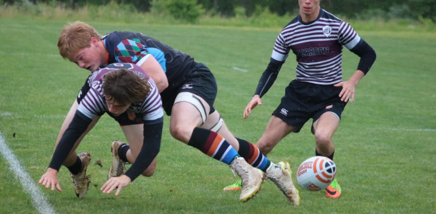 harpethvbarden2017 0 harpethvbarden2017 0