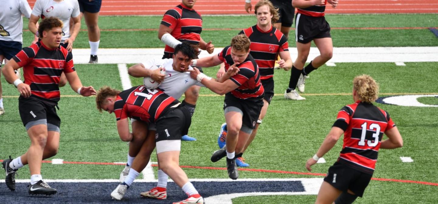 herriman manaia brown v united travis watson herriman manaia brown v united travis watson