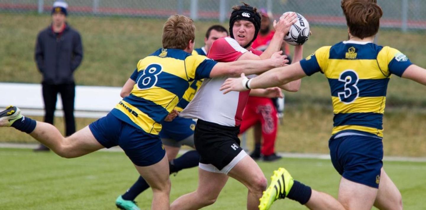 hoa7s2017 arkansas zomberg 3 0 hoa7s2017 arkansas zomberg 3 0