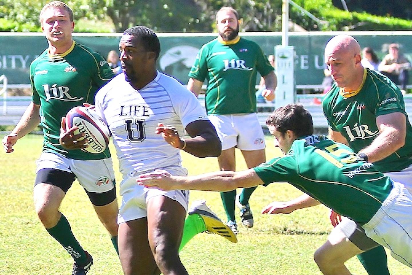 hollis hawk hollis hawk