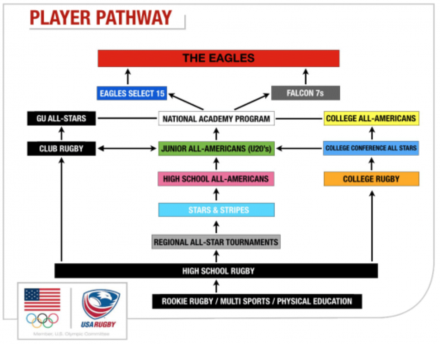 hsaapathway hsaapathway