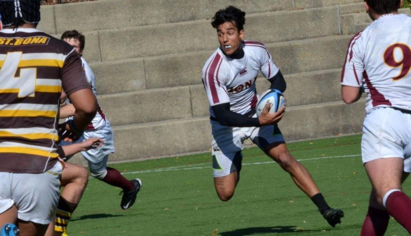 iona scarcella 2017 iona scarcella 2017