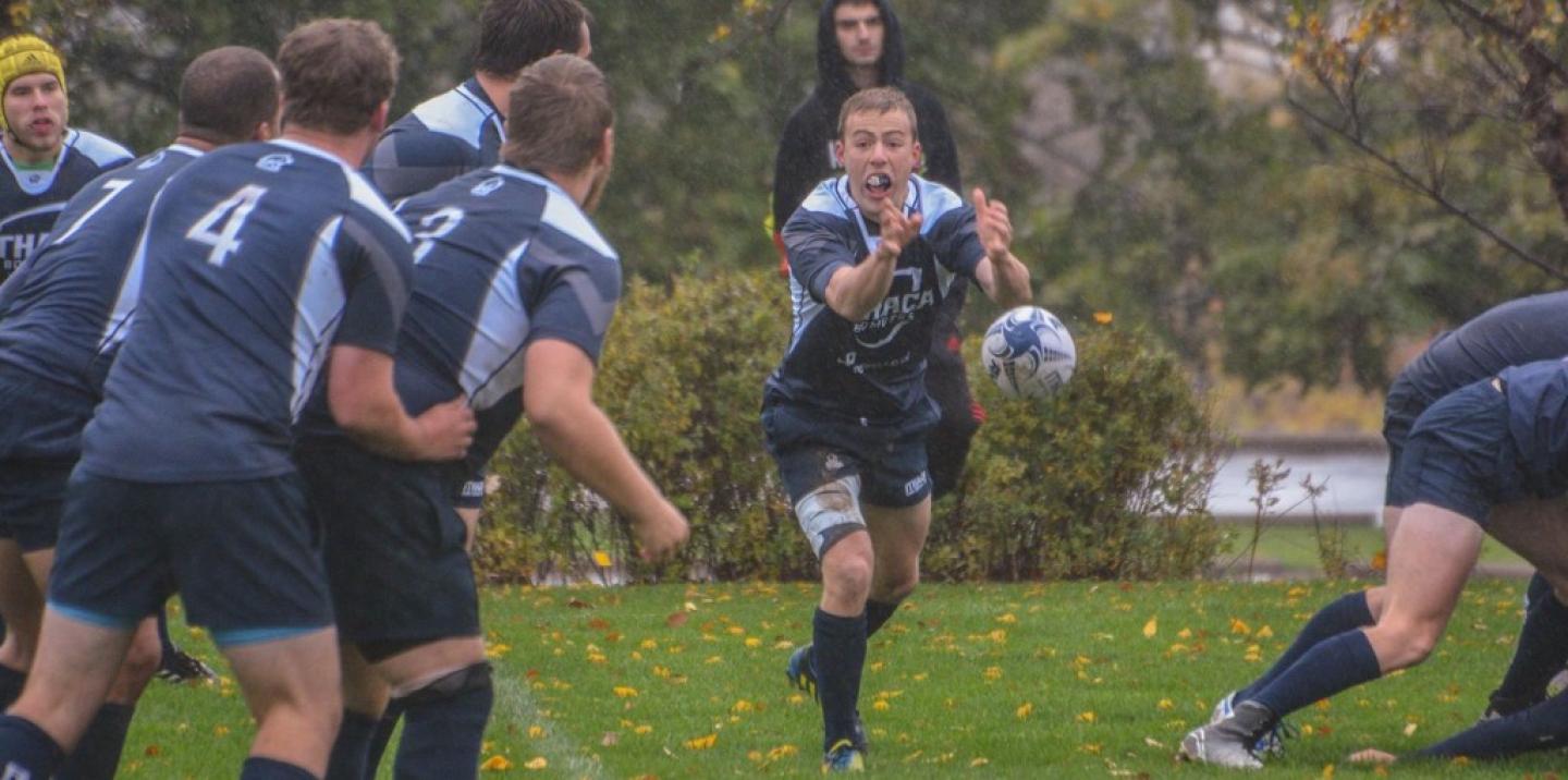 ithaca vin manta 2016 ithaca vin manta 2016