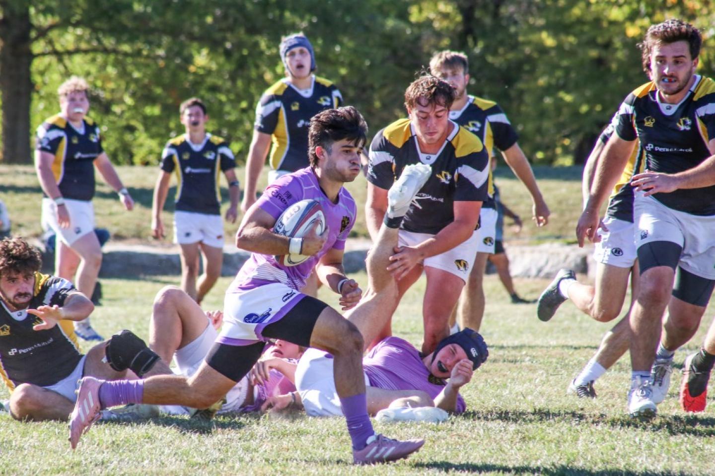 kansas state vs mizzou 2023 griff hastings kansas state vs mizzou 2023 griff hastings