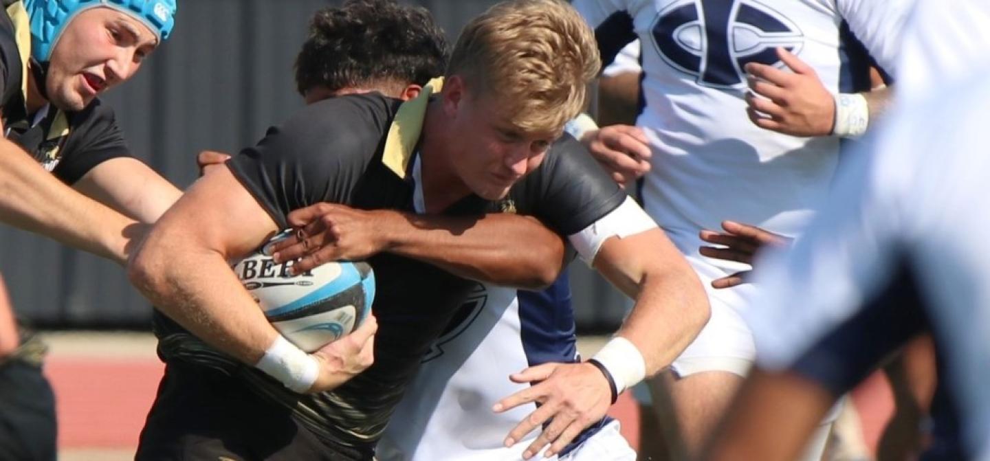 krige lindenwood todd lunow 3 krige lindenwood todd lunow 3