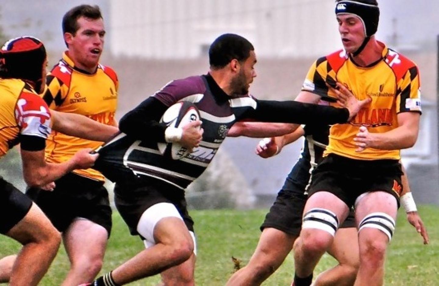 kuztown faison donohoe kuztown faison donohoe