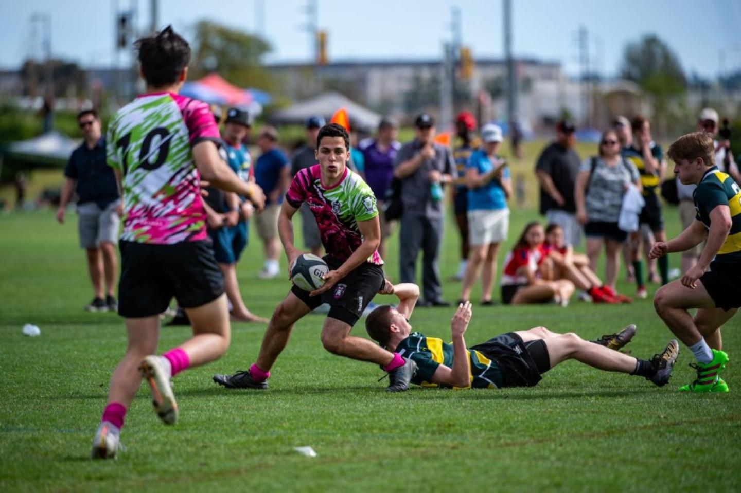 lai 2020 david barpal 105 0 lai 2020 david barpal 105 0