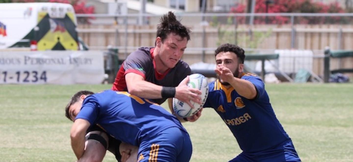 lamder v iup tracey ponce lamder v iup tracey ponce