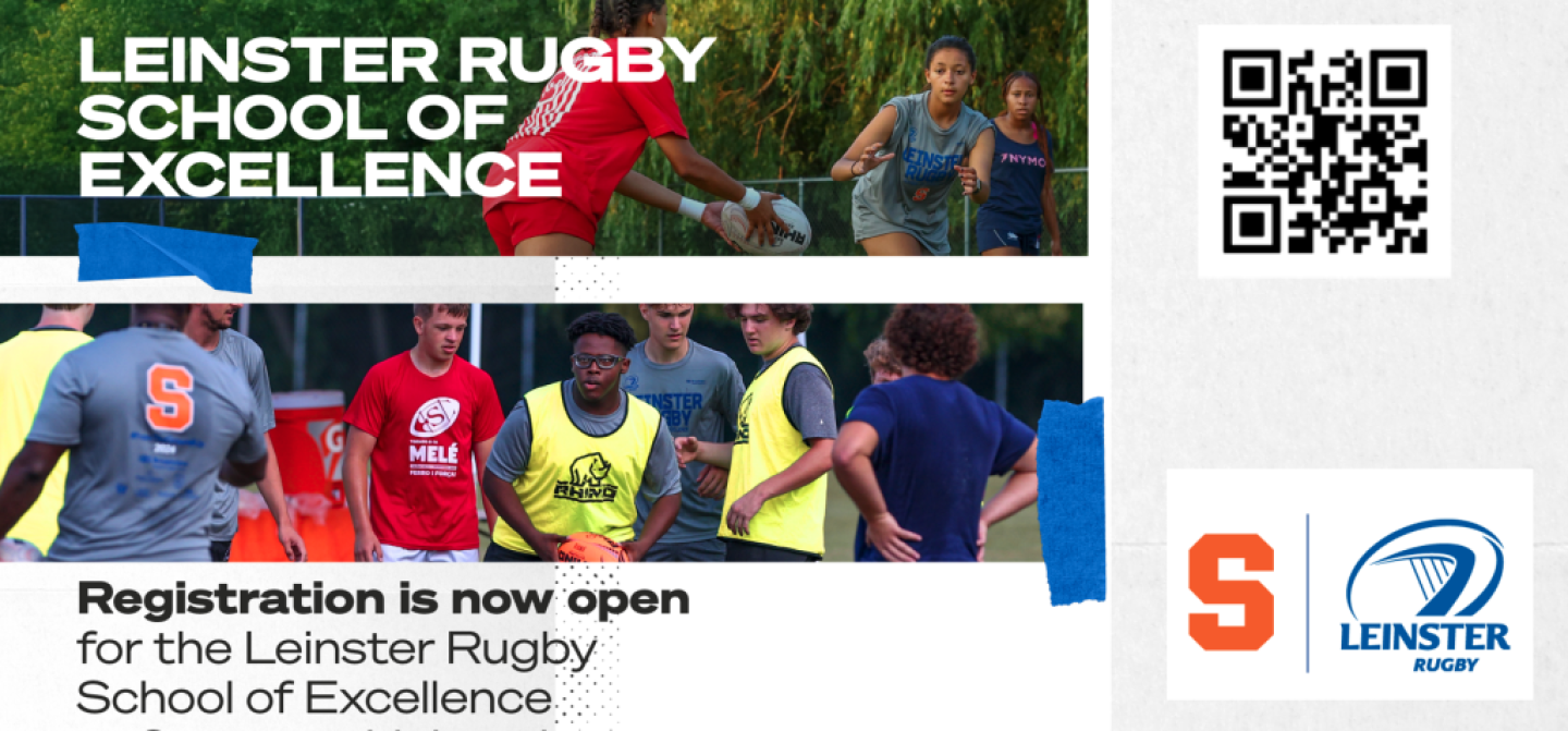 leinster soe article banner leinster soe article banner