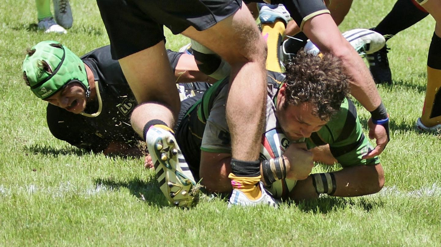 lifevlindenwood doctorhawkphoto 4 lifevlindenwood doctorhawkphoto 4