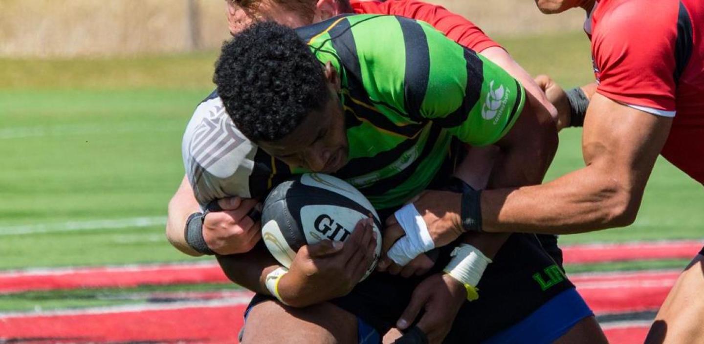 lifvdavenport2017 zomberg 11 lifvdavenport2017 zomberg 11