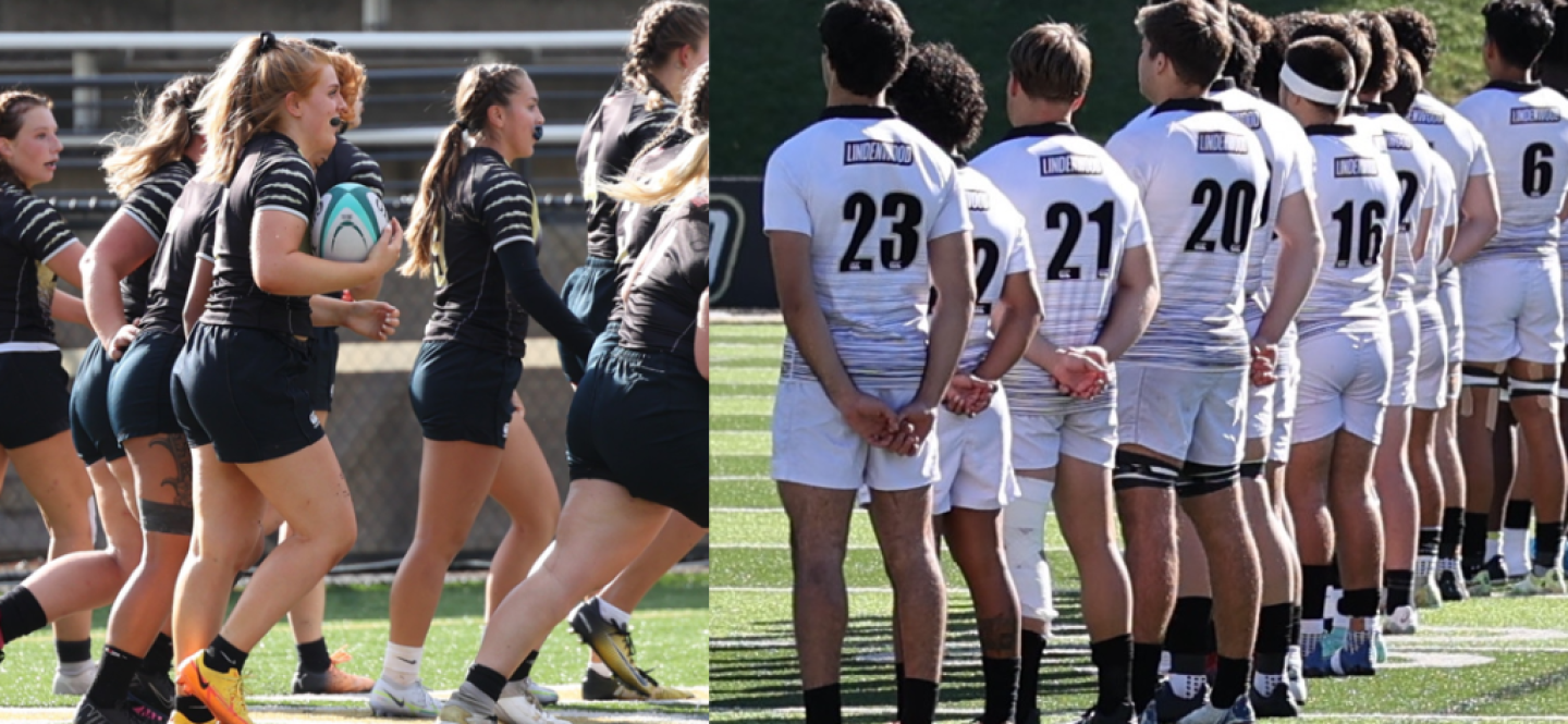 lindenwood combo lindenwood combo