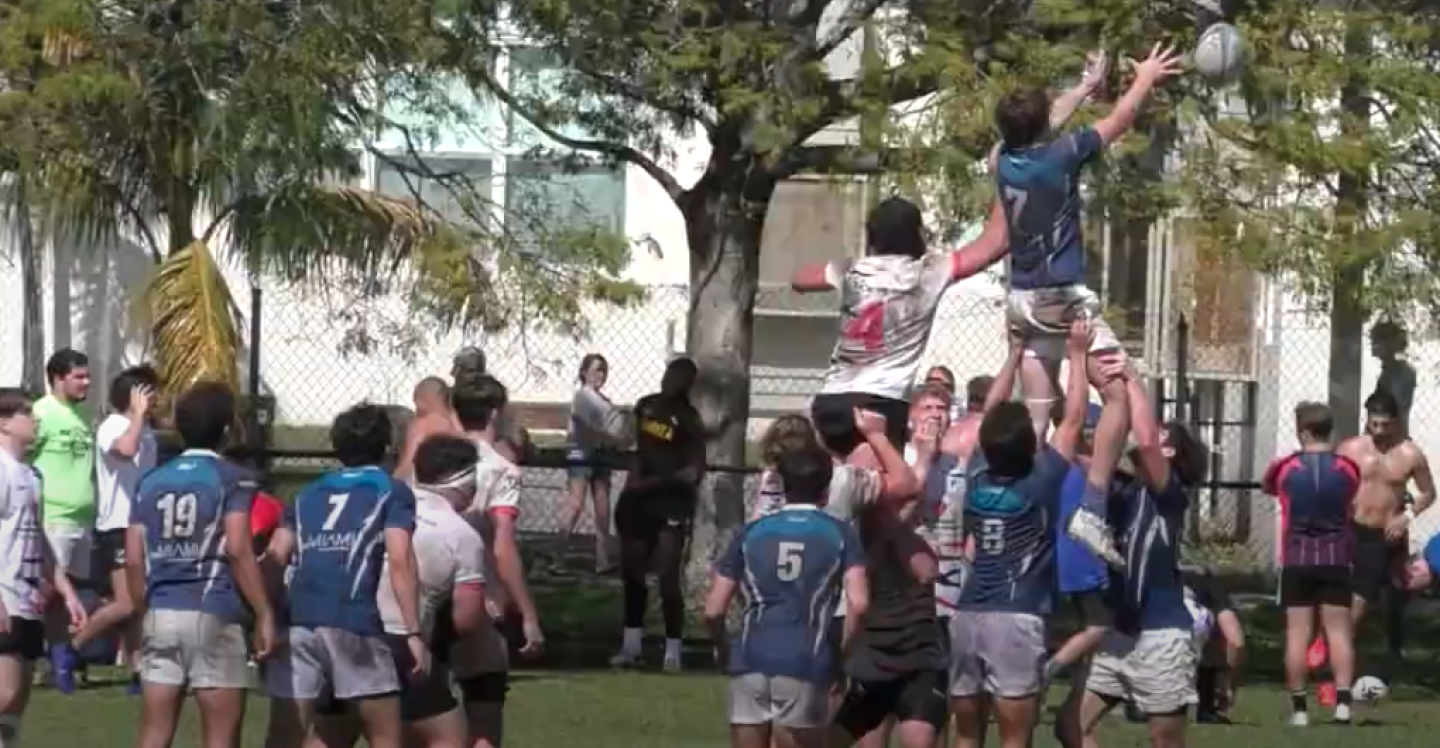 lineout key biscayne vs okapi lineout key biscayne vs okapi