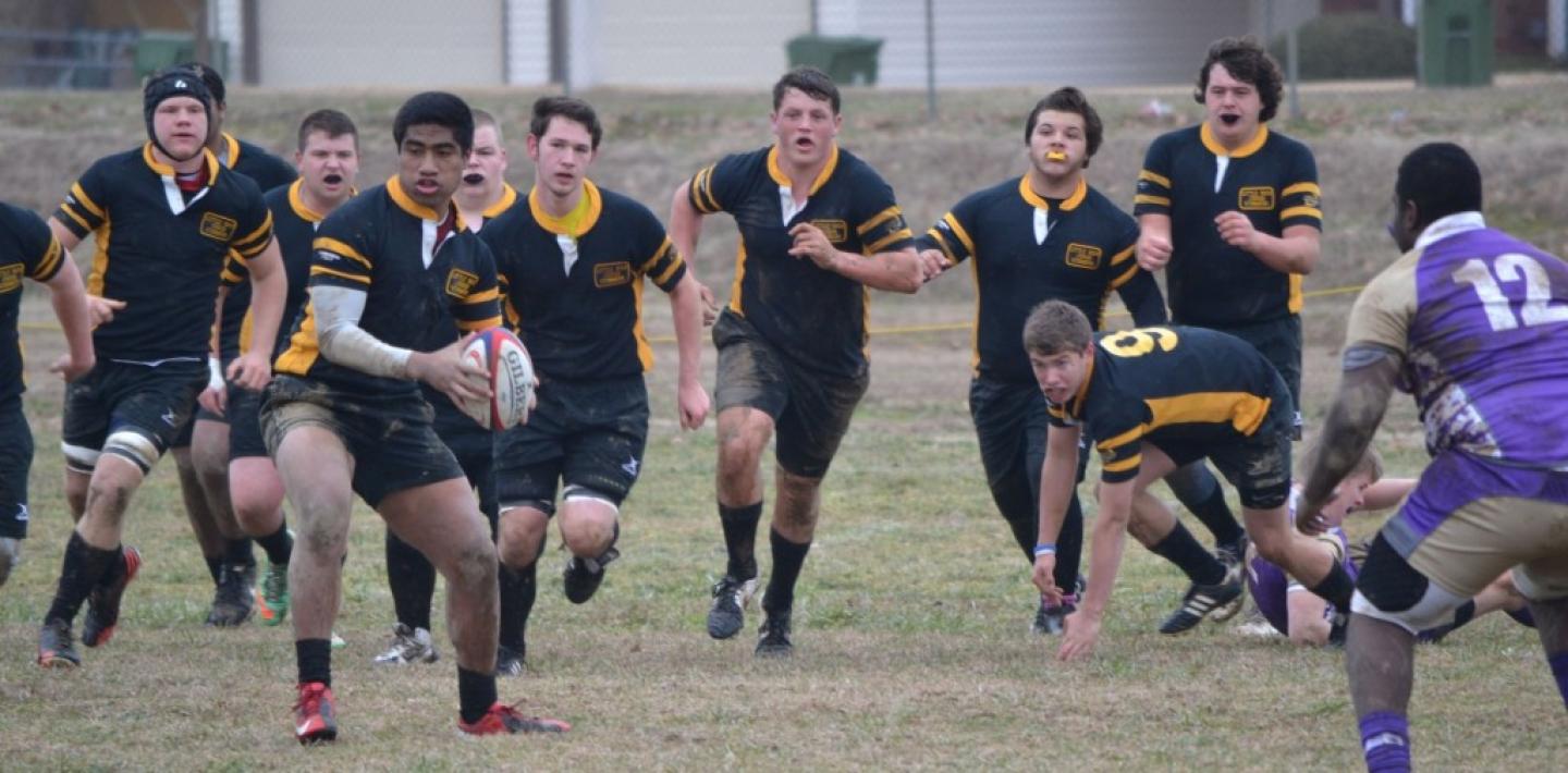 little rock tali nasoli little rock tali nasoli