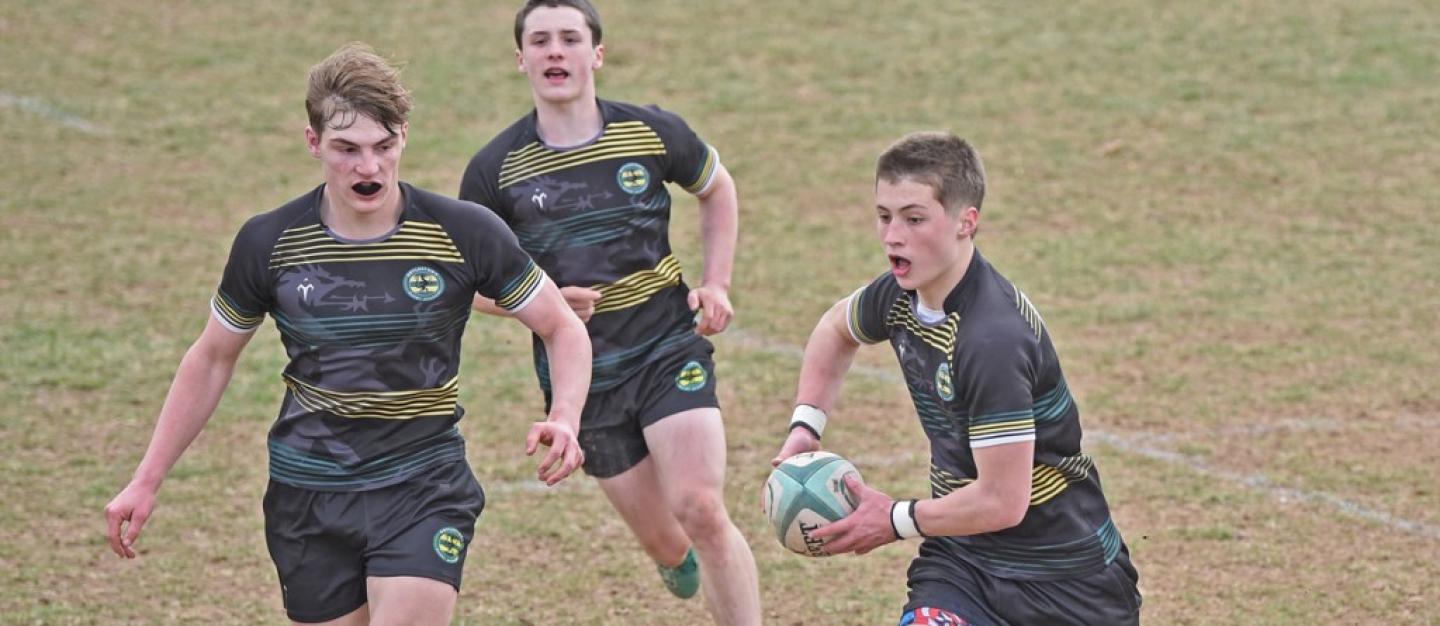 louis cipollo doylestown 2025 louis cipollo doylestown 2025