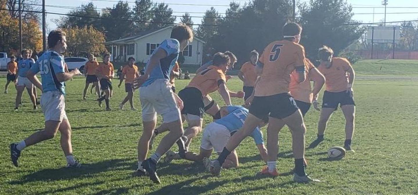 marc semis d2 marc semis d2