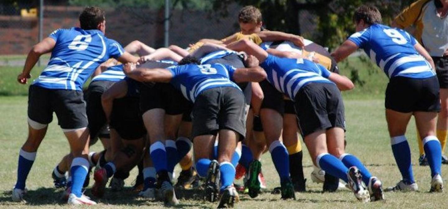 memphis maul memphis maul