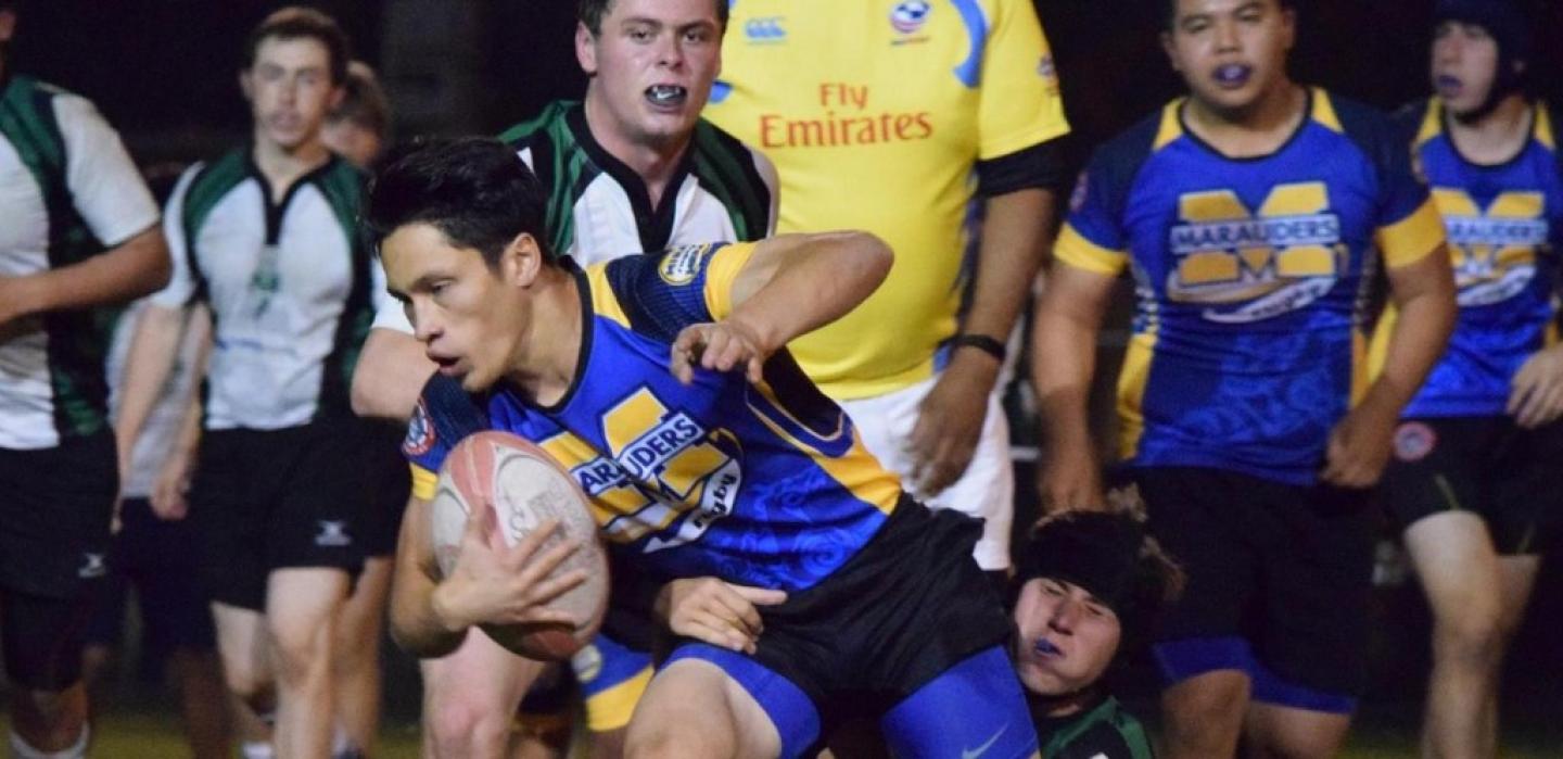 miramesa2016 17 4 miramesa2016 17 4