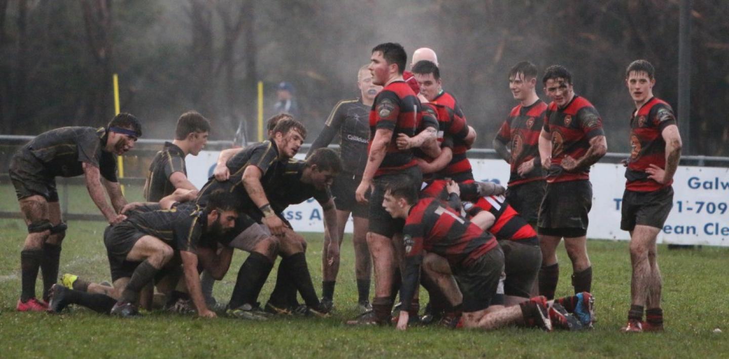 monarch irt 2017 3 monarch irt 2017 3