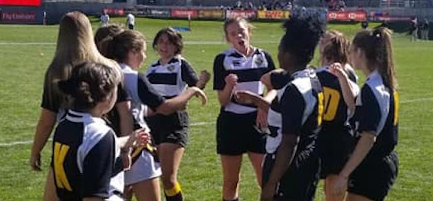 monarch fist bump monarch fist bump