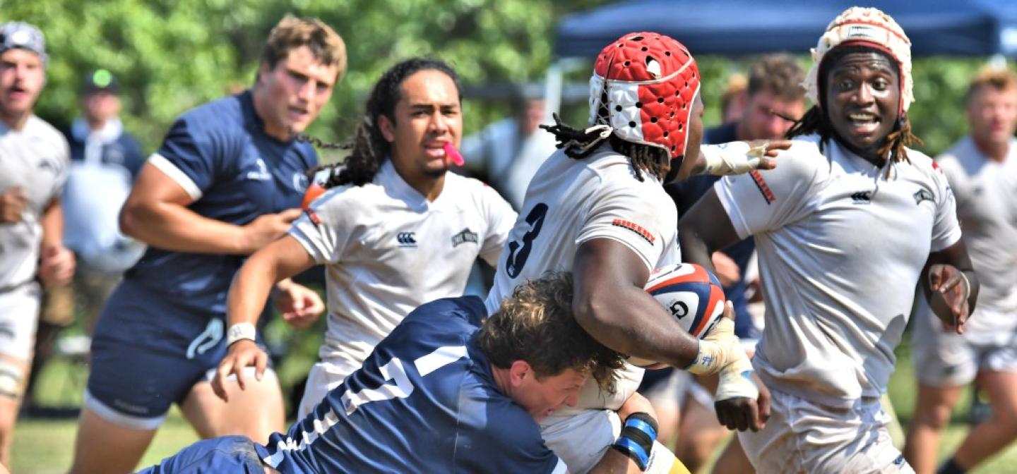 msmv psu 2024 david hughes 2741 msmv psu 2024 david hughes 2741