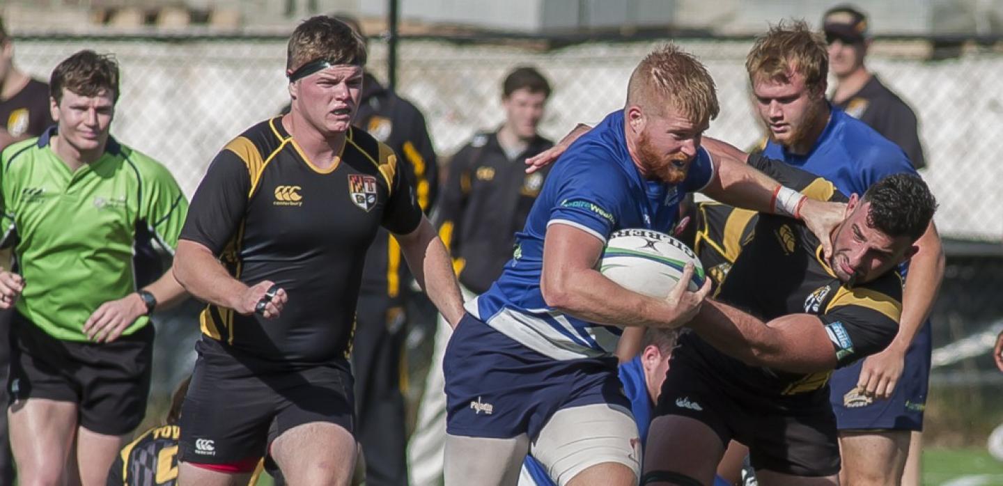 mt st marys towson 2016 mccloskey 1 mt st marys towson 2016 mccloskey 1