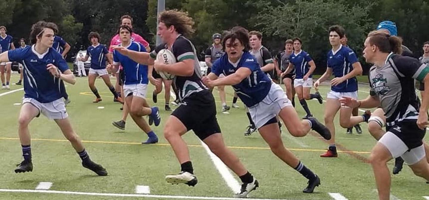 naples hammerheads 2021 2 naples hammerheads 2021 2