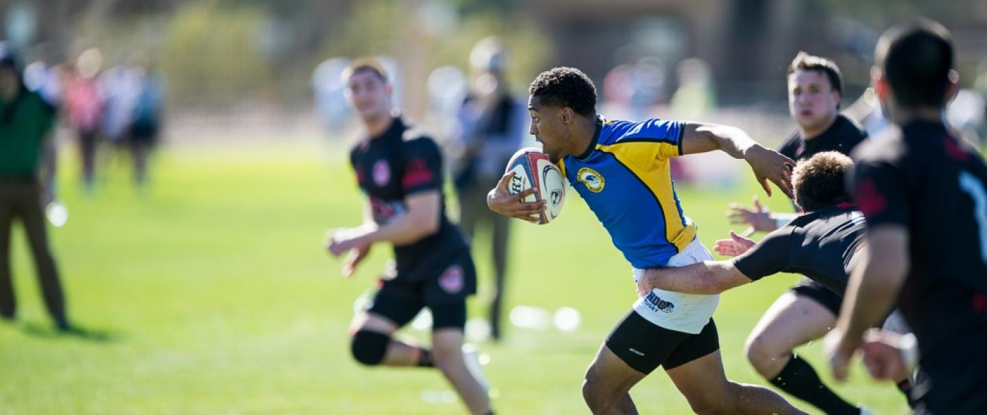 ndcvstjoes lvi 2015 barpal 3 ndcvstjoes lvi 2015 barpal 3