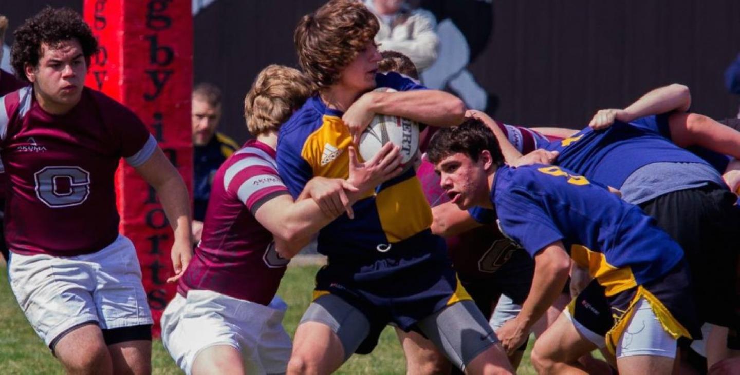 neuquavgrandville 2016 zomberg neuquavgrandville 2016 zomberg