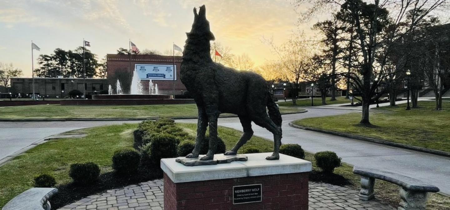 newberry wolf newberry wolf