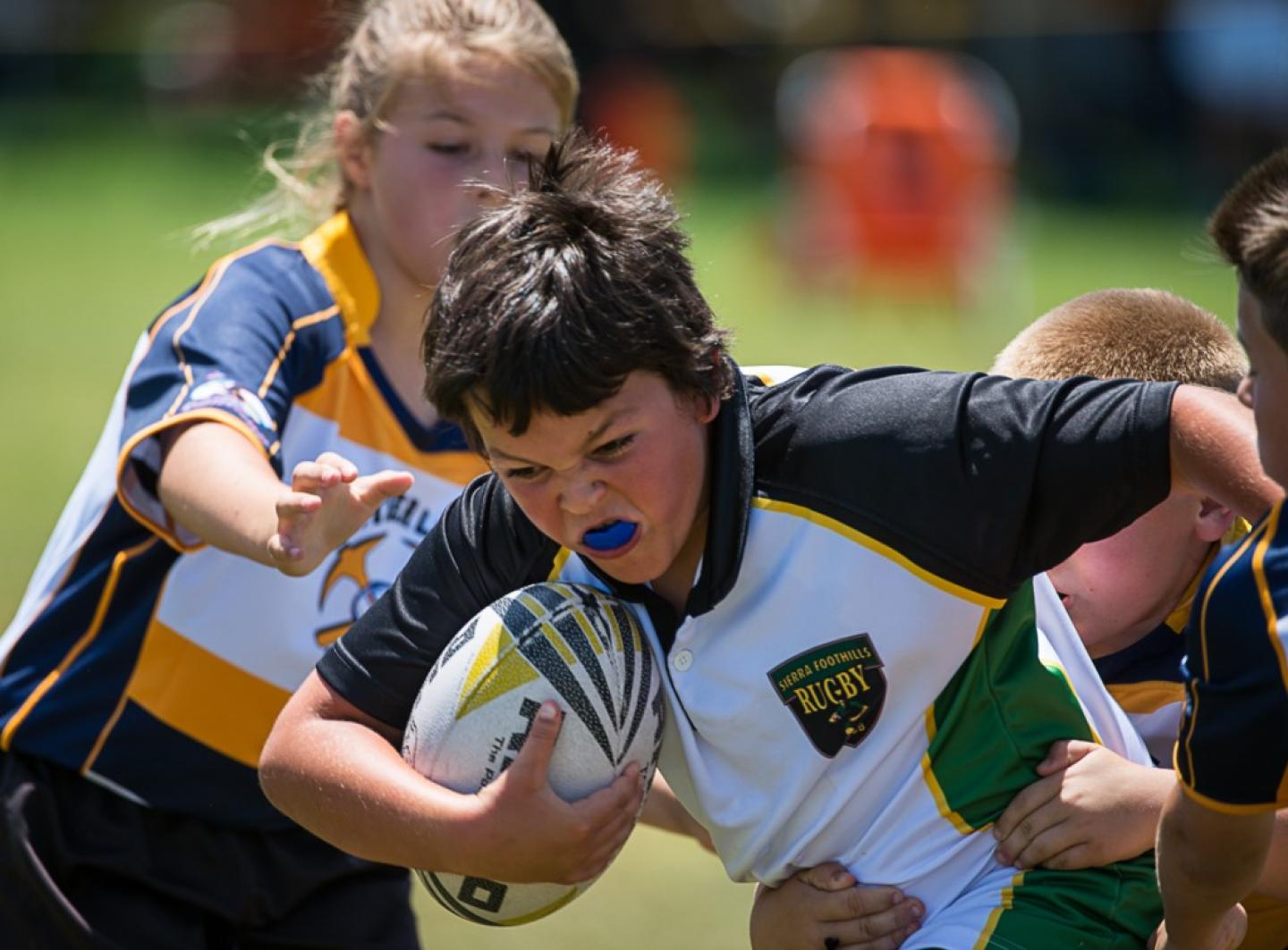 norcalyouth7s june 2014 barpal 7 norcalyouth7s june 2014 barpal 7