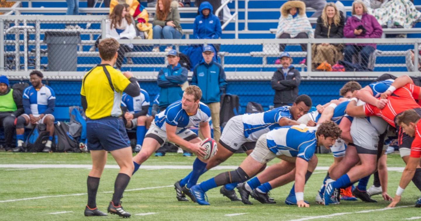 notre dame college vs davenport 2019 allison bradfield 4 notre dame college vs davenport 2019 allison bradfield 4