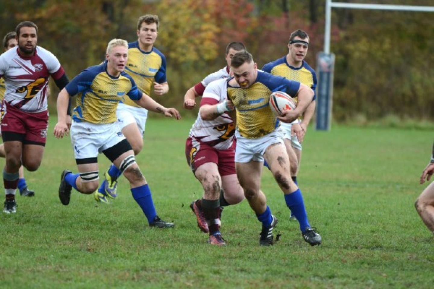 notredamecollegefalcons 1 2 notredamecollegefalcons 1 2