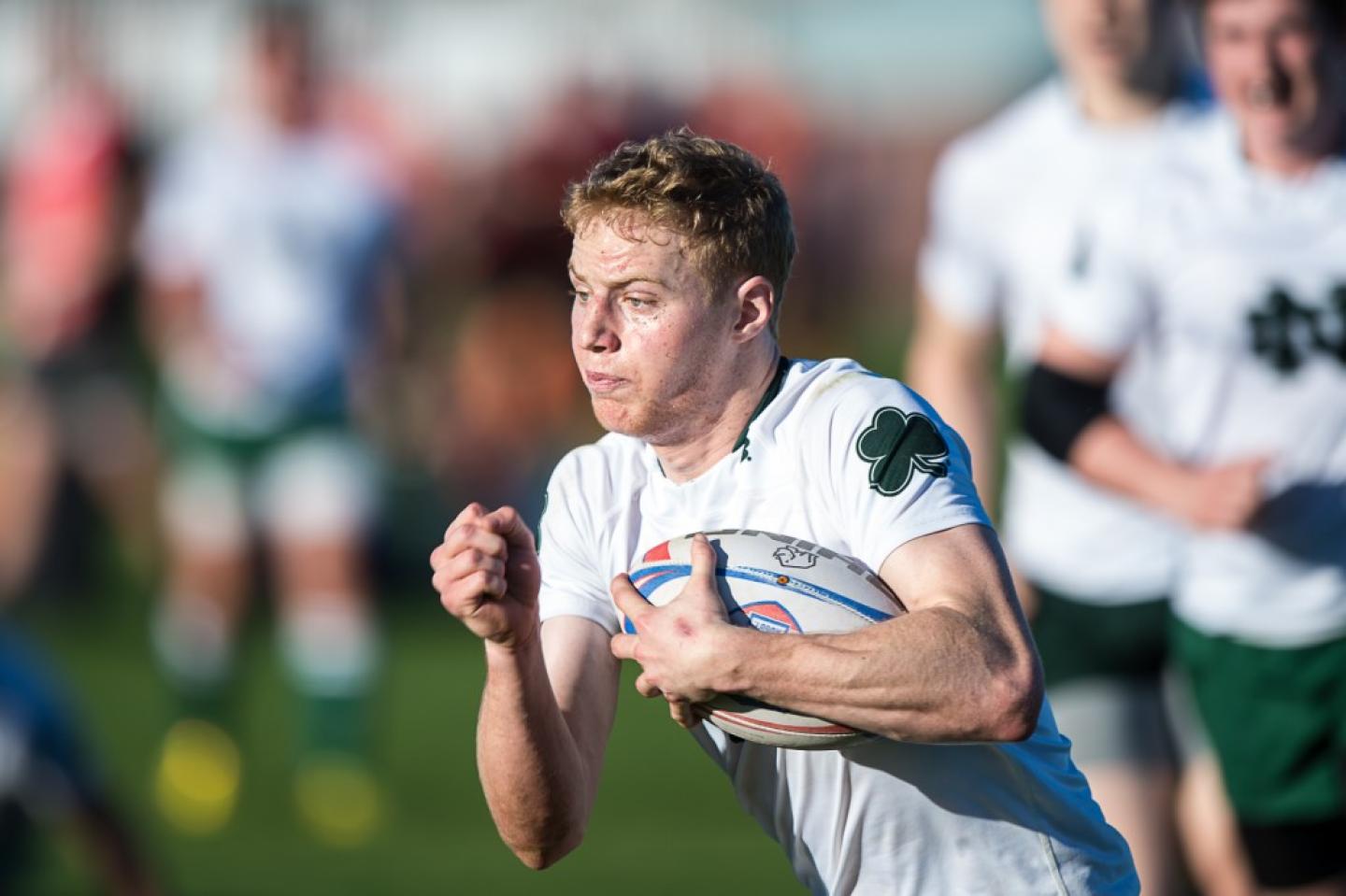 notredamevwitt 7 barpal notredamevwitt 7 barpal