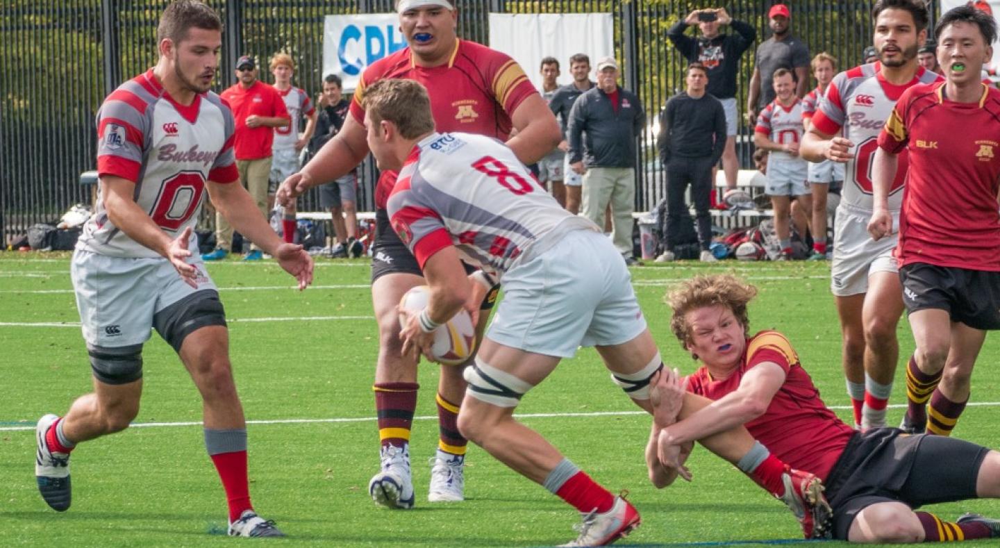 ohio state vs minnesota 2019 allison bradfield 3 ohio state vs minnesota 2019 allison bradfield 3
