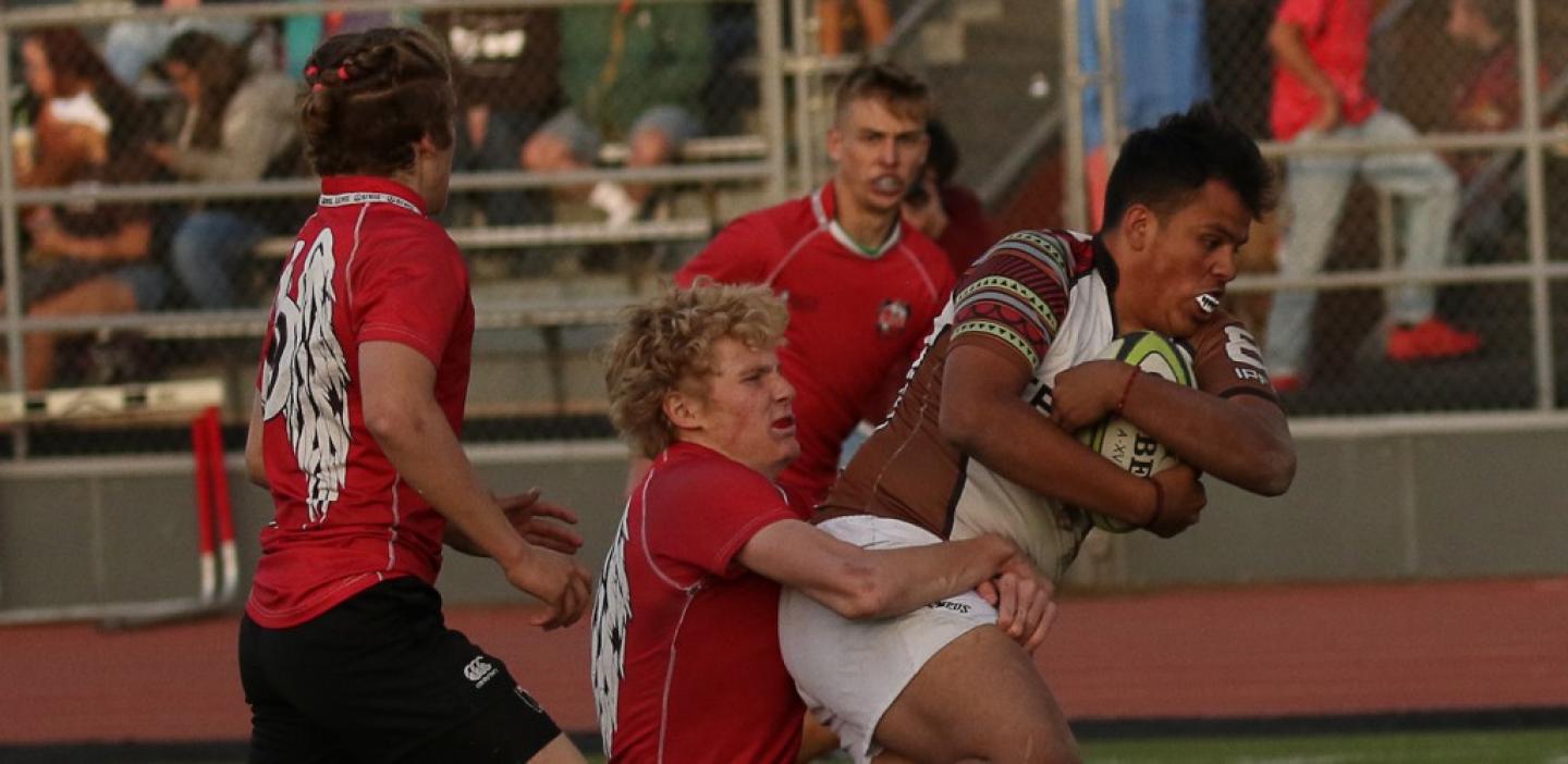 palmer east no8 wido canales 2017 0 palmer east no8 wido canales 2017 0