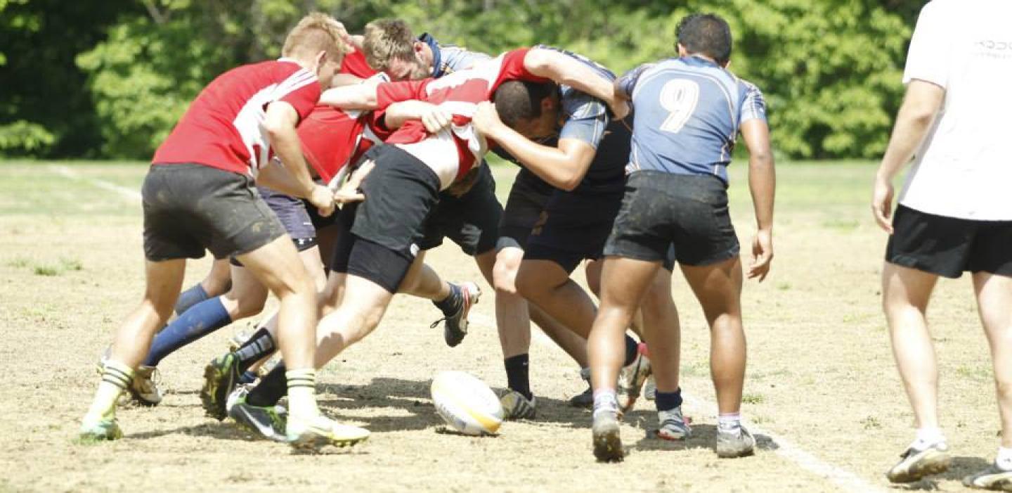 principiatraining principiatraining