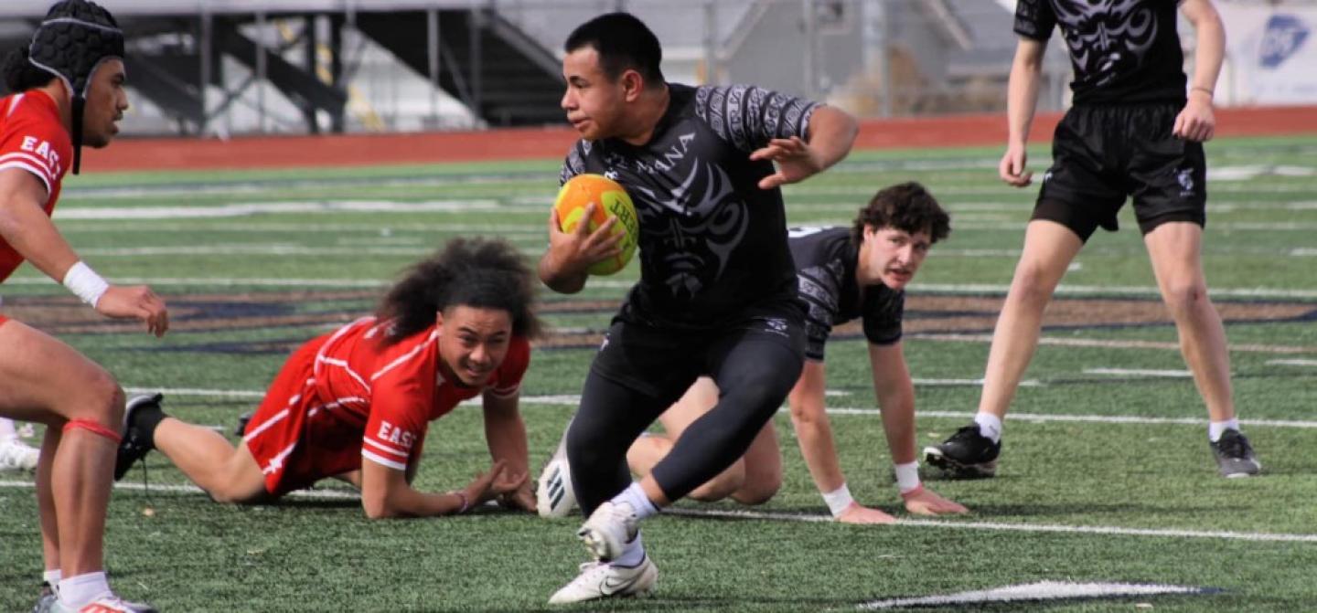 rqa puriri inv 2023 1 0 rqa puriri inv 2023 1 0