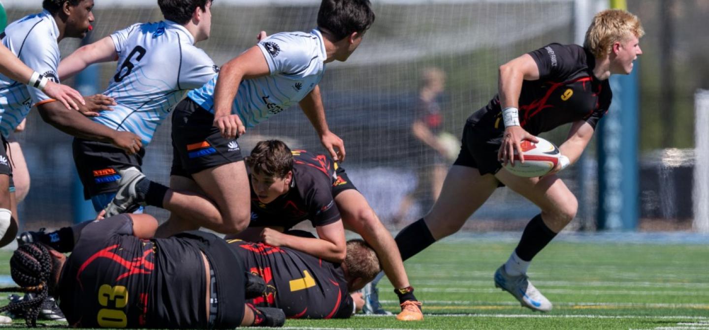 san diego mustangs 2025 ph adam taich 5291 san diego mustangs 2025 ph adam taich 5291