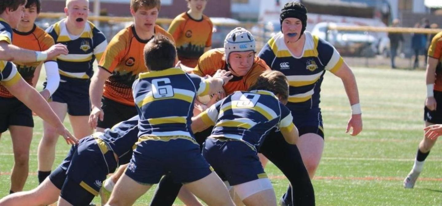 sederik saxon charlotte tigers 2021