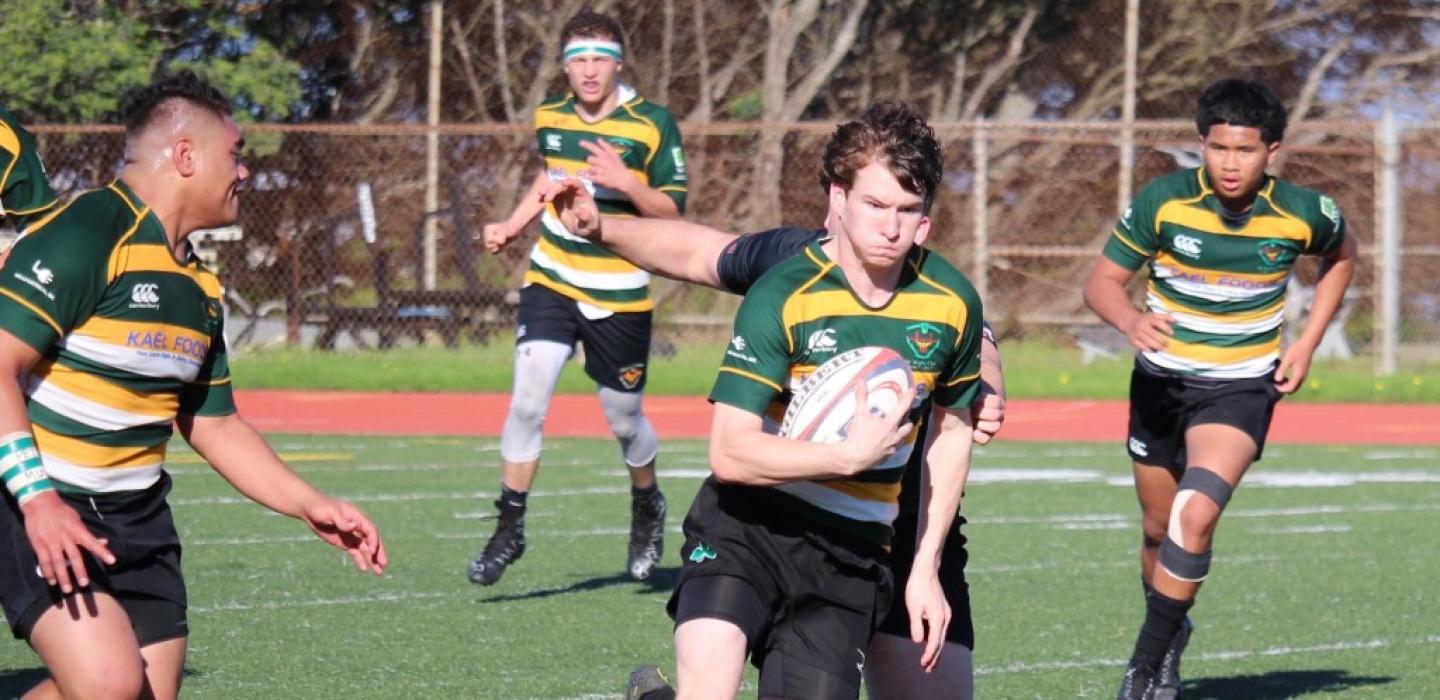 sfggronanorford 2017 sfggronanorford 2017