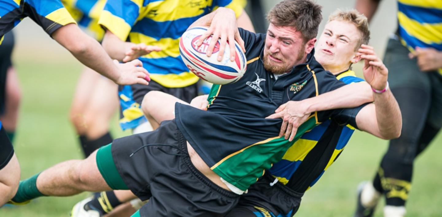 sierrafoothills KOT2015 1 barpal sierrafoothills KOT2015 1 barpal