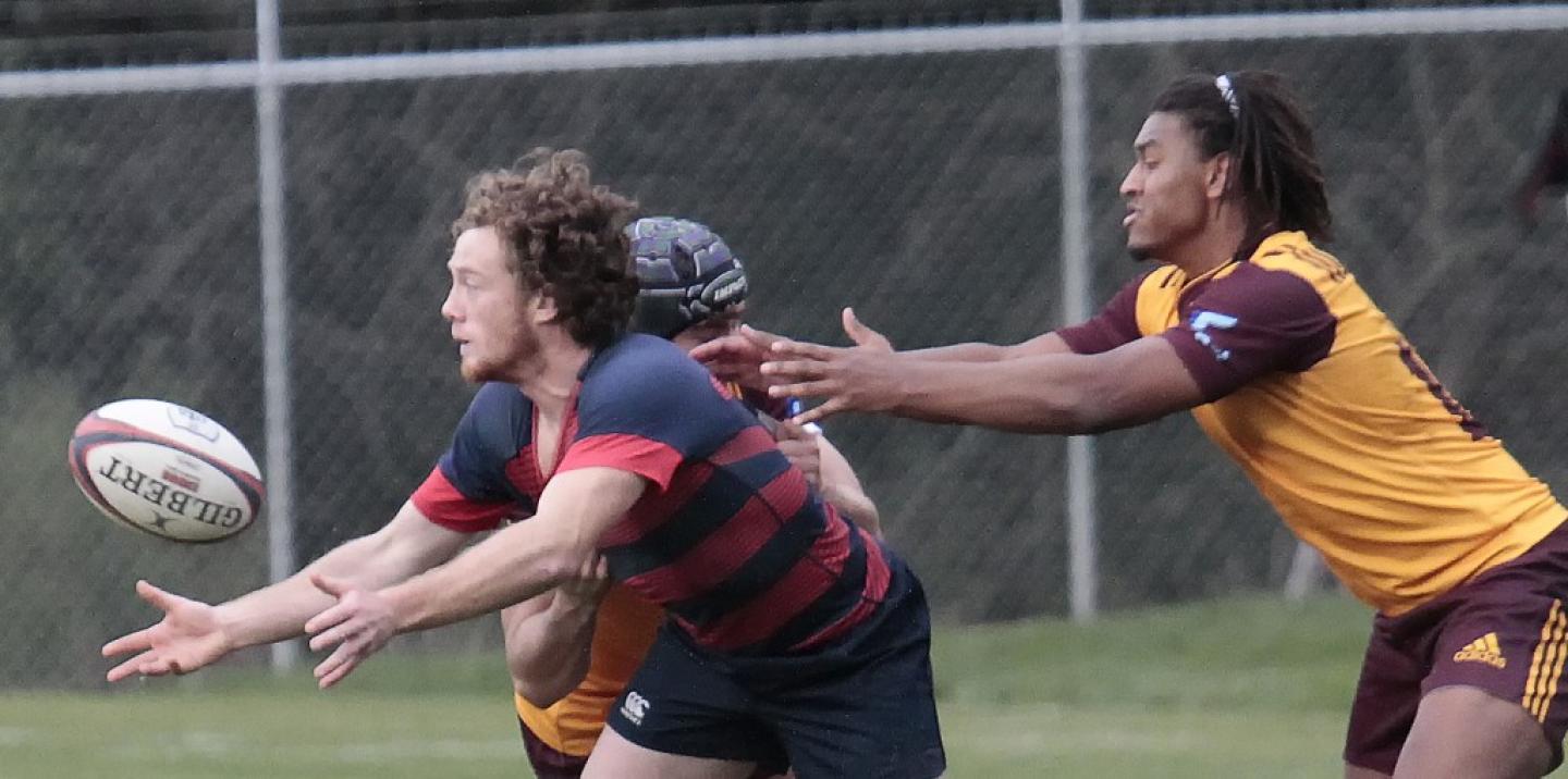 smccvariz state 2017 geib 2 0 smccvariz state 2017 geib 2 0