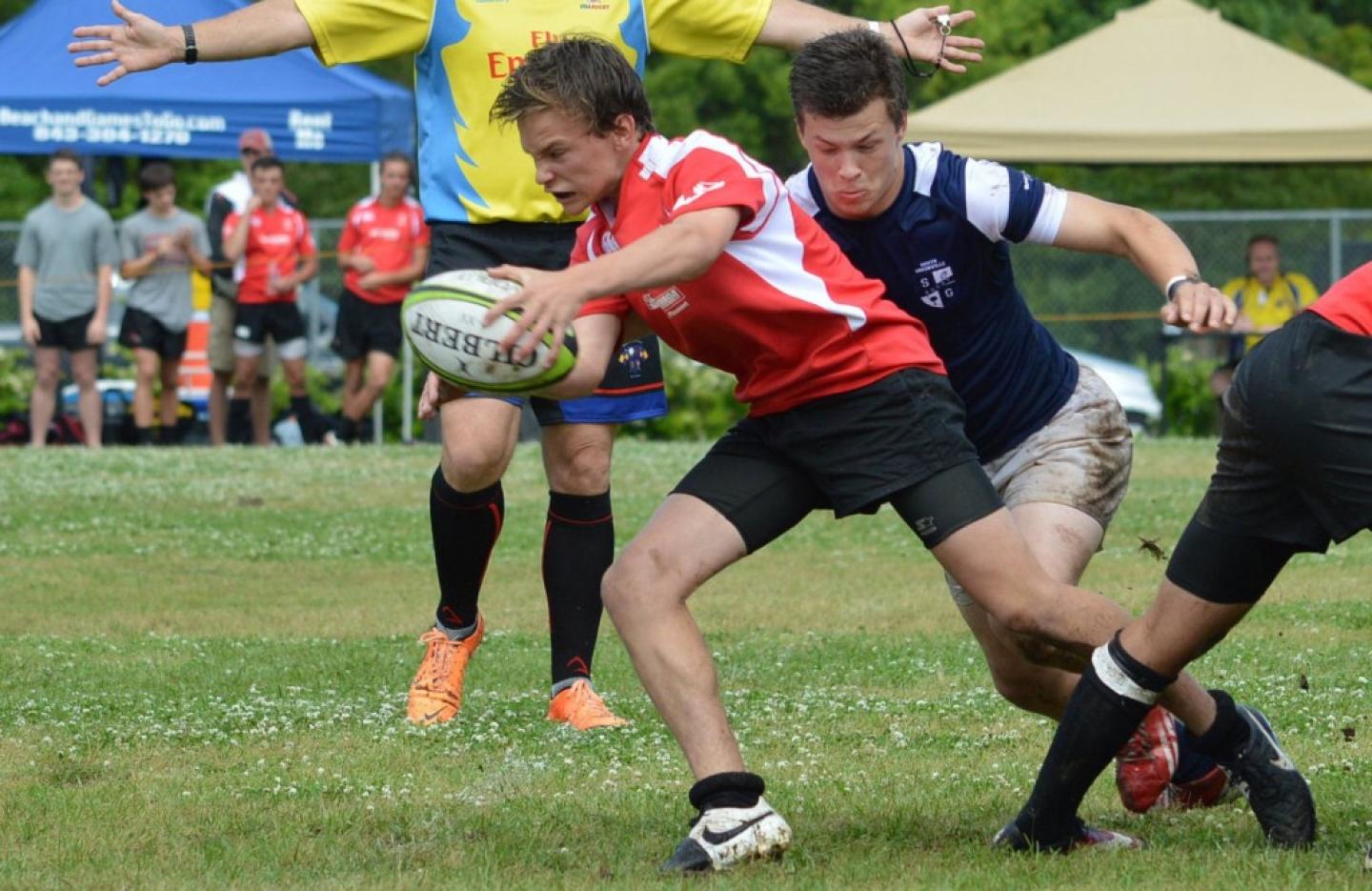 southgreenville wando jackstrobel 3 southgreenville wando jackstrobel 3