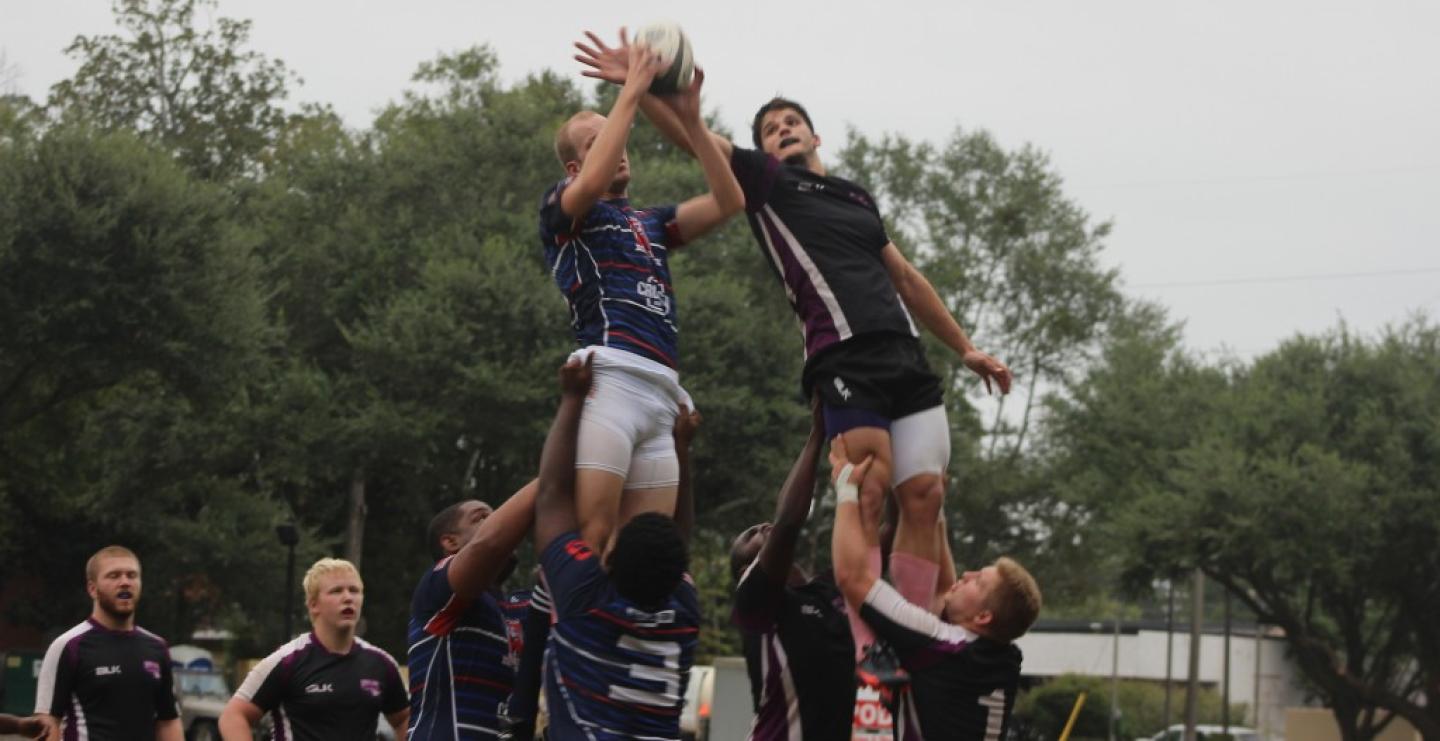 springhilllineout2015 springhilllineout2015