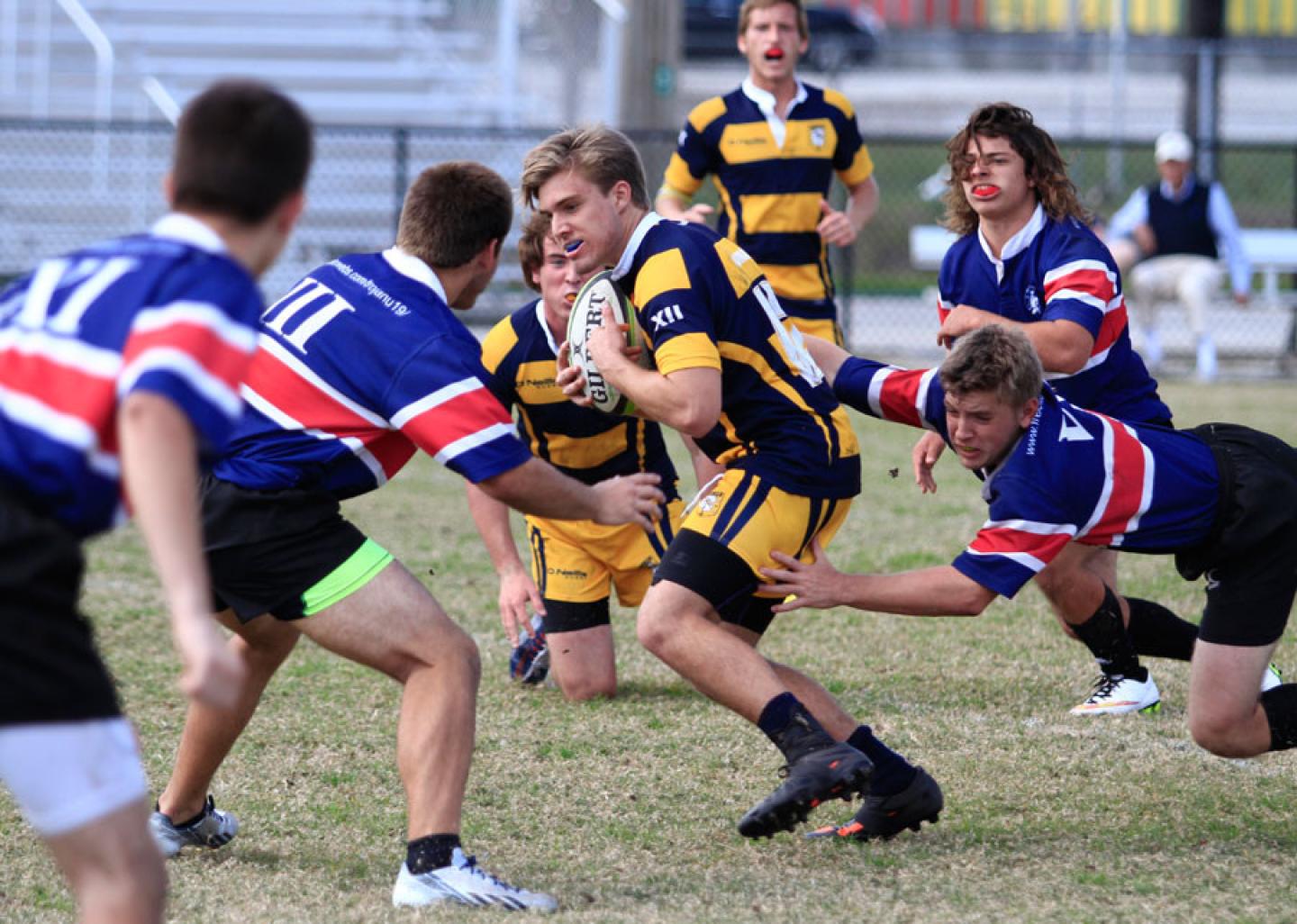 staflorida 6 staflorida 6