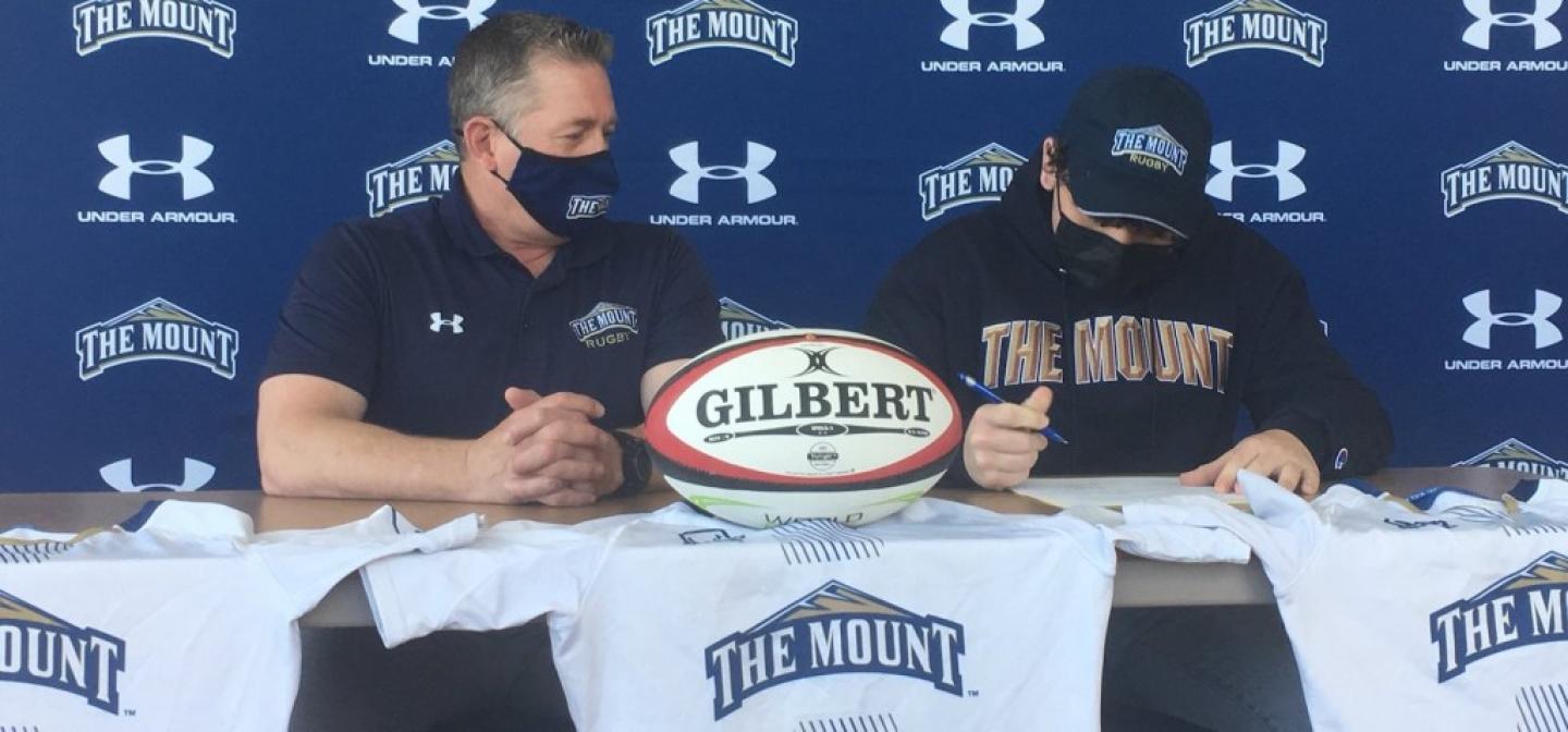 stelluti signs stelluti signs