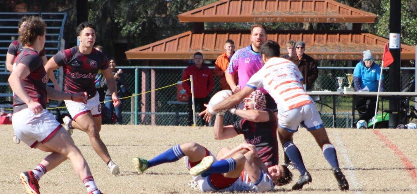 sunshine 7s 1716.cr2 sunshine 7s 1716.cr2