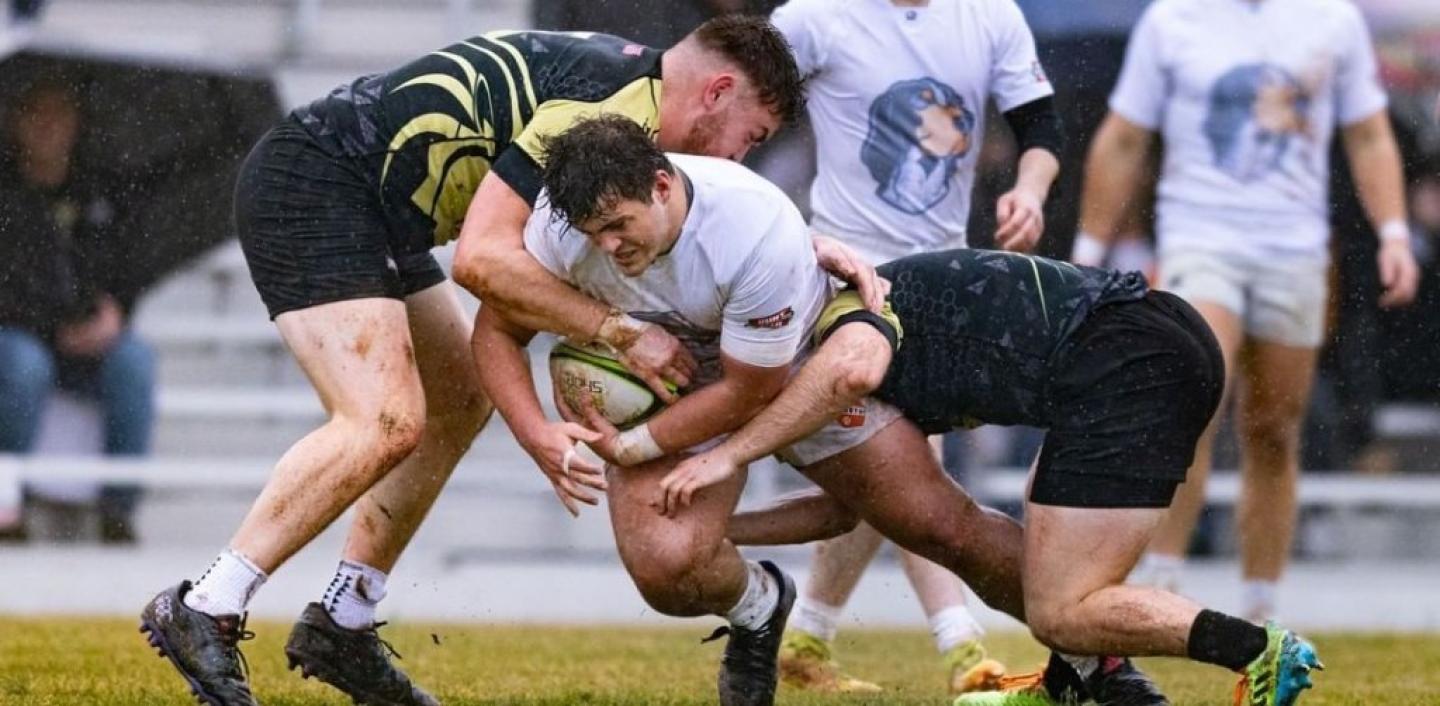 tennessee vs lindenwood 2024 steven bridges knoxphotog 3 tennessee vs lindenwood 2024 steven bridges knoxphotog 3