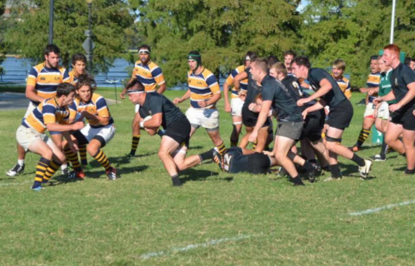 towson tylerhoneycuttoct2014 towson tylerhoneycuttoct2014